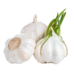 Allium Sativum