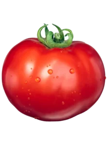 Solanum Lycopersicum