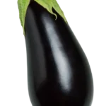 Aubergine violette brillante sur fond blanc