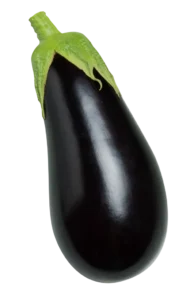 Aubergine violette brillante sur fond blanc