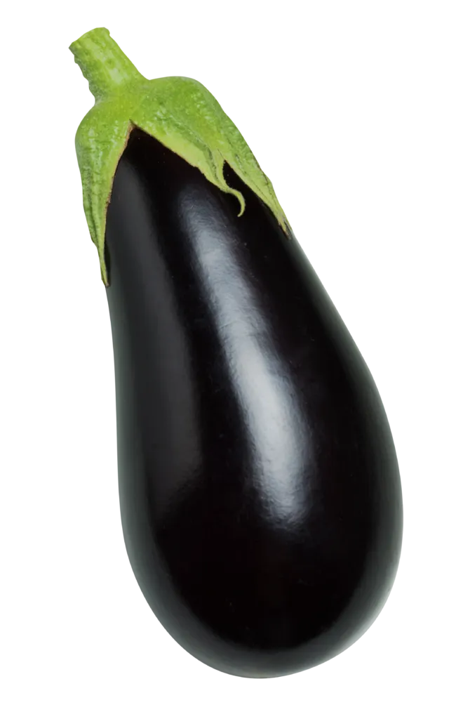 Solanum melongena