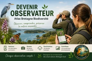 Affiche Atlas Bretagne Biodiversité, observateurs en nature
