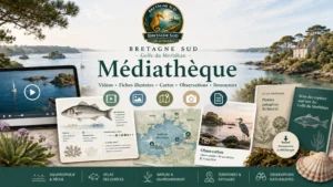 Médiathèque Bretagne Sud Golfe du Morbihan