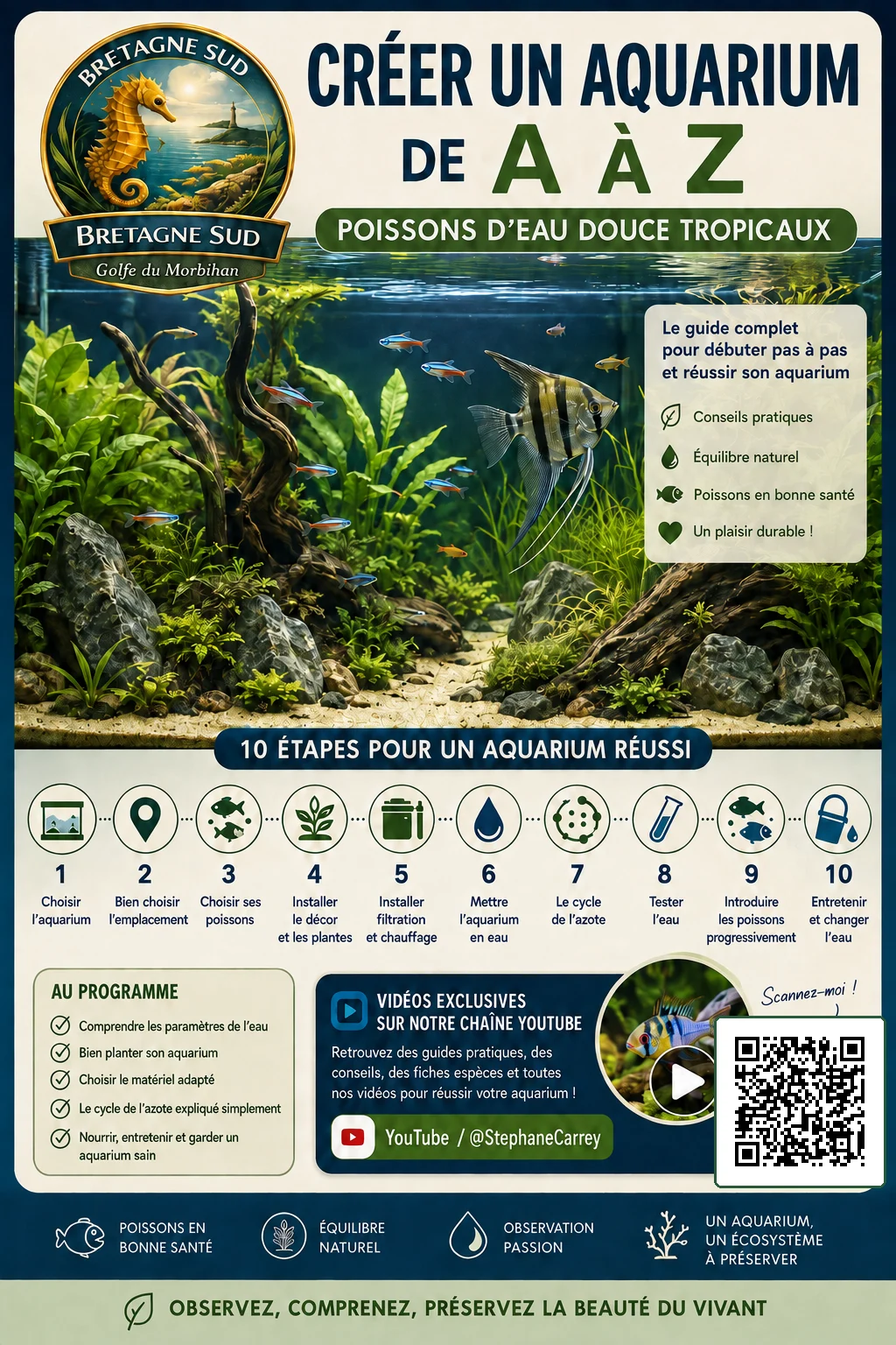 Guide illustré pour créer un aquarium tropical d’eau douce